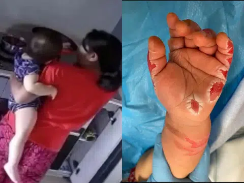 （红蚂蚁制图）
