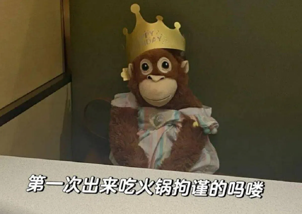 （小红书截图）