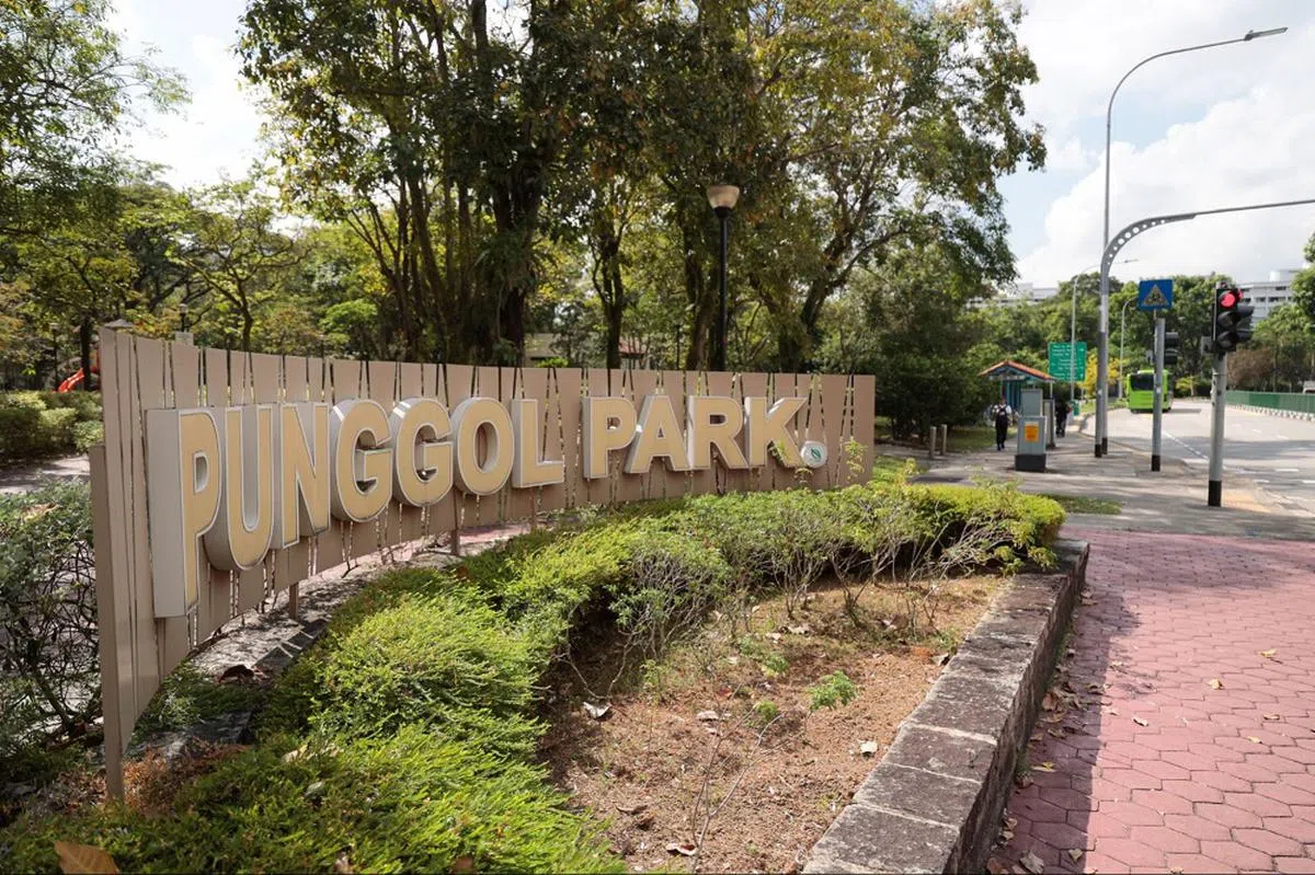 不在榜鹅的榜鹅公园。（联合早报）