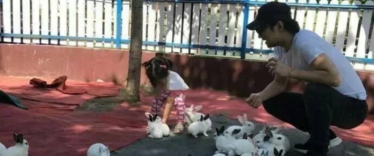  （互联网） 