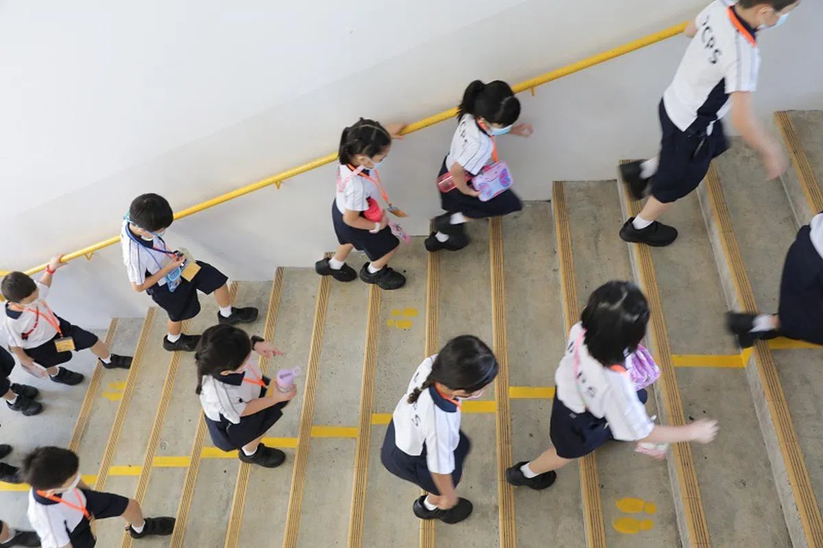 小学生的小小身躯，若要背负“超标”的重量，或将导致健康隐患。（海峡时报）