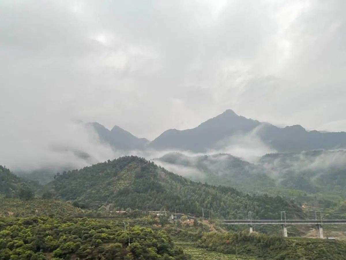  野生动植物富饶自然环境——武夷山。（维文面簿） 