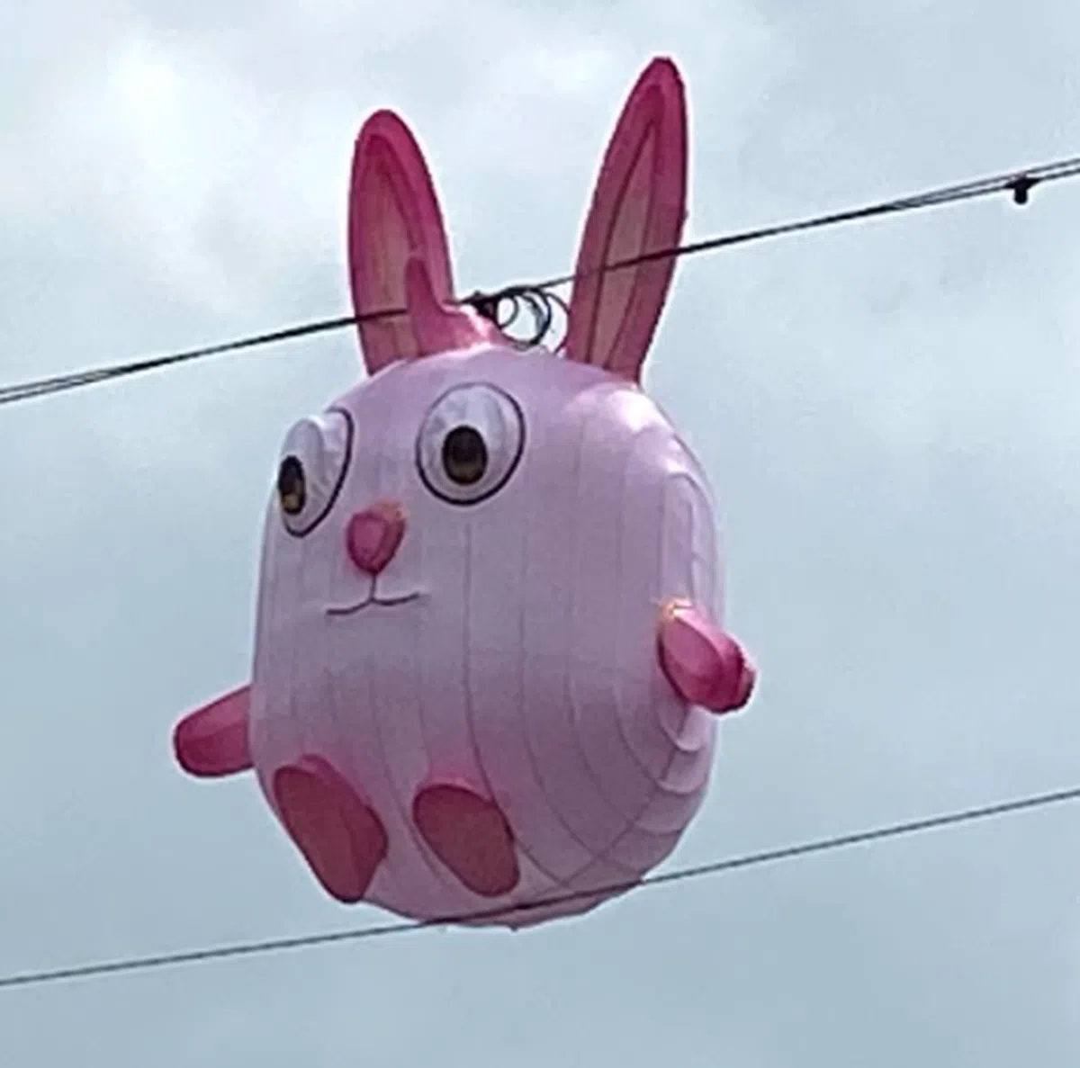  生肖兔装饰。（红蚂蚁摄） 
