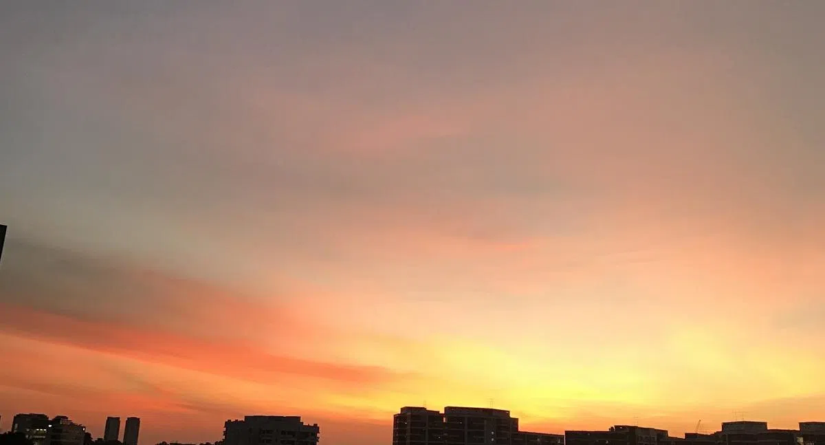  （2017年1月8日谢静怡摄） 