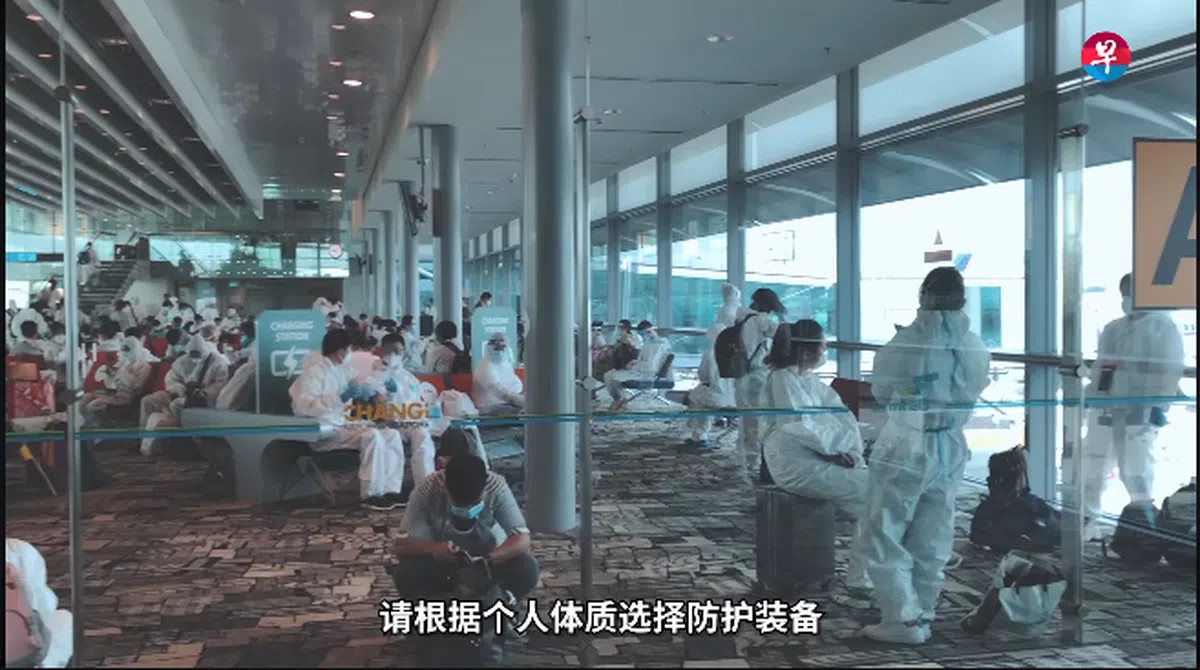  （截自视频） 