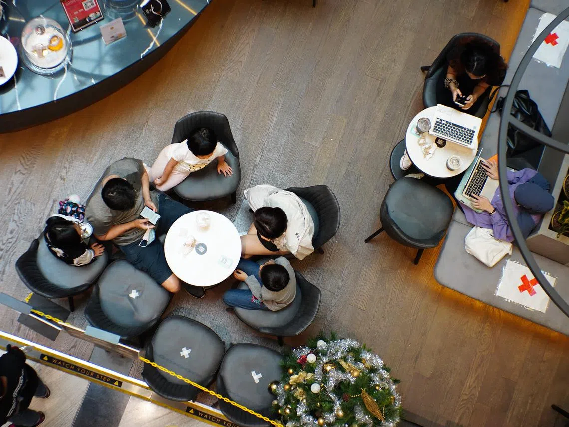 政府宣布从下周一起，分段放宽本地部分防疫措施。（联合早报）