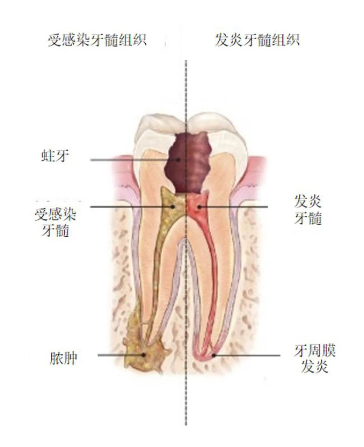 （互联网）
