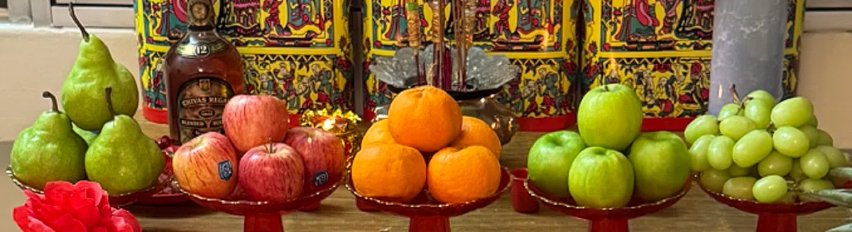 五果。（蒋谷摄）