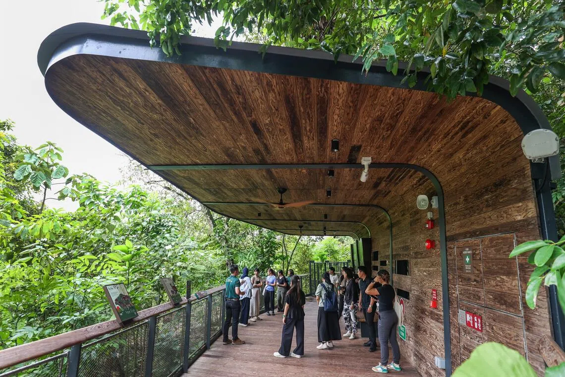 新加坡的亚洲雨林探险园（Rainforest Wild Asia）在设计和建造园区的过程中，约八成的原材料源自可持续材料，包括园区的无障碍高架步道（图）所用的木材。