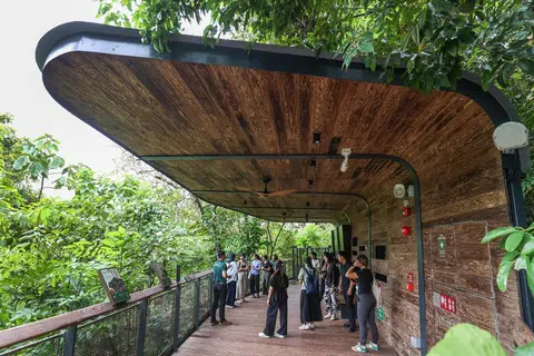 新加坡的亚洲雨林探险园（Rainforest Wild Asia）在设计和建造园区的过程中，约八成的原材料源自可持续材料，包括园区的无障碍高架步道（图）所用的木材。