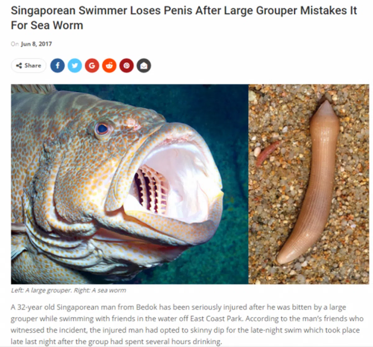  （SG Talk论坛截图） 