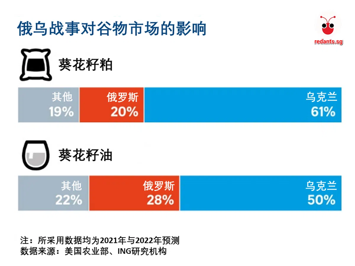 （海峡时报 / 红蚂蚁制图）