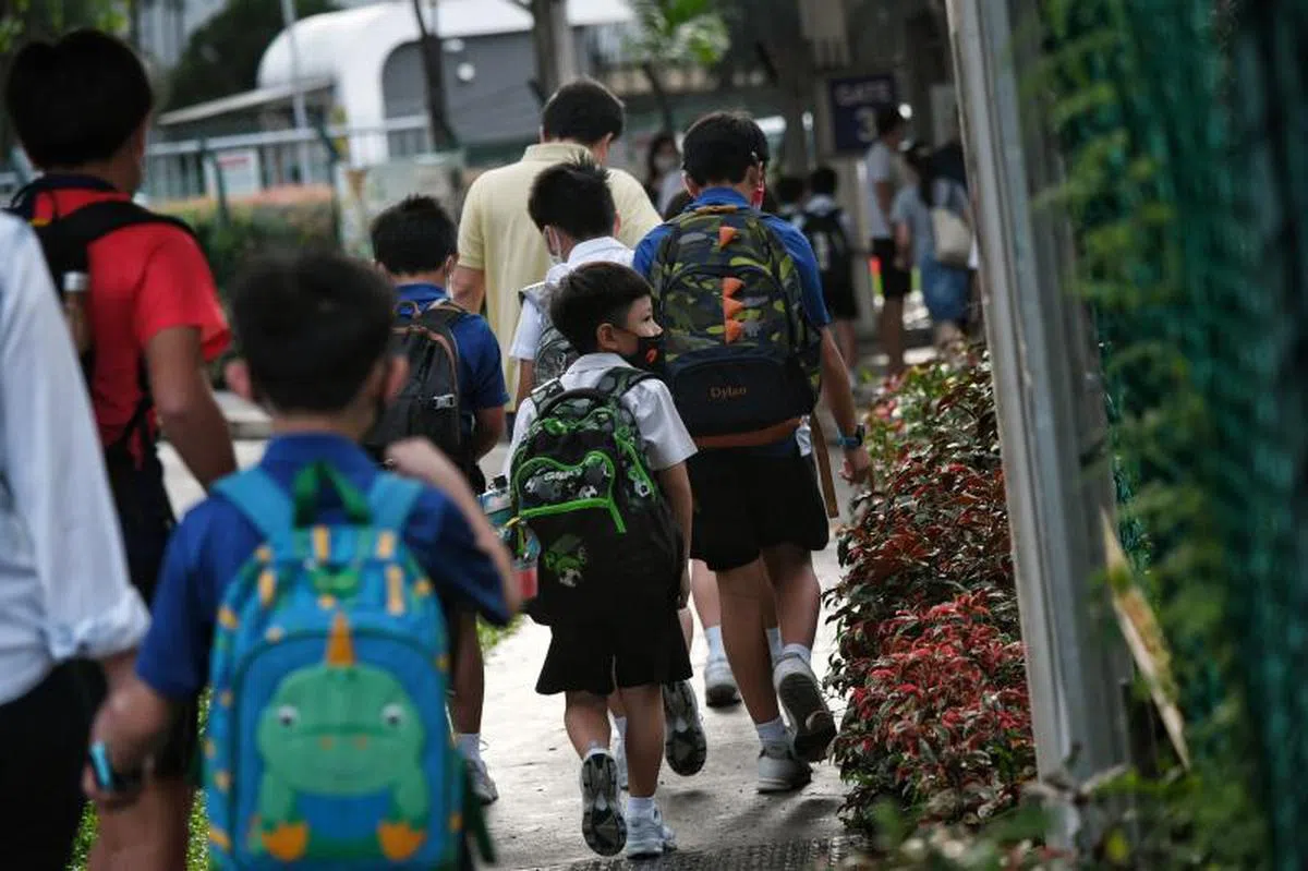  年满12岁，今年参加小学离校考试的学生也会受邀接种。（海峡时报） 