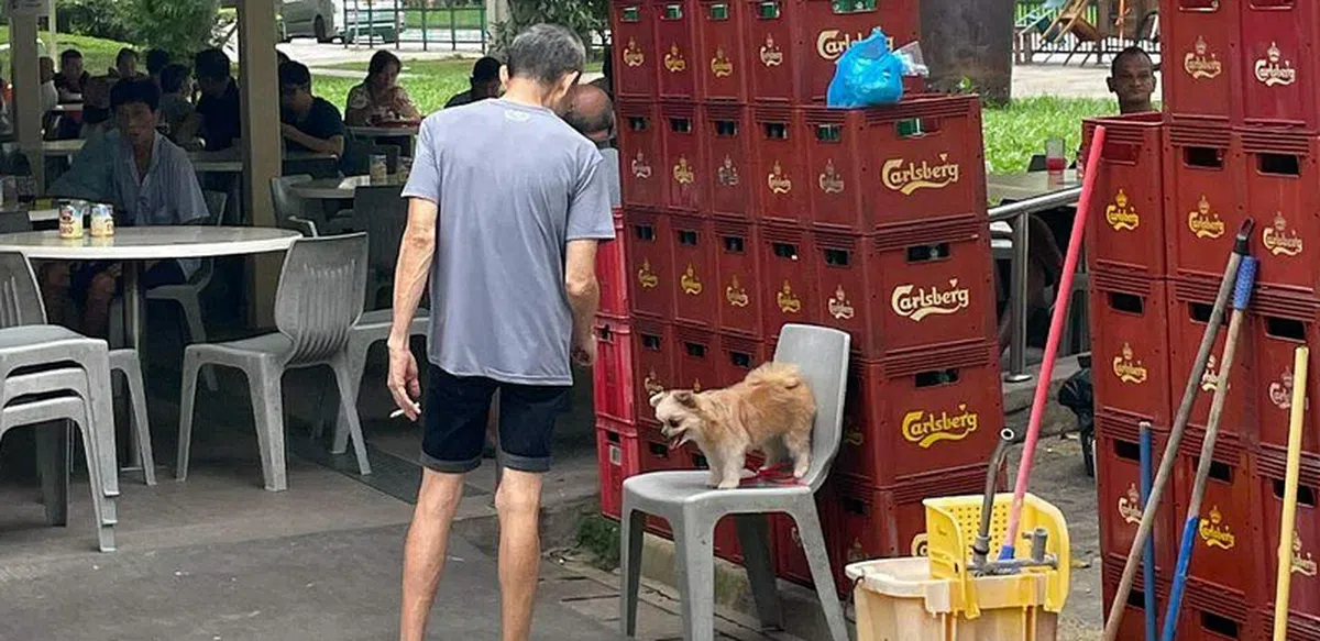 新加坡一些咖啡店设有临时吸烟区。（海峡时报）