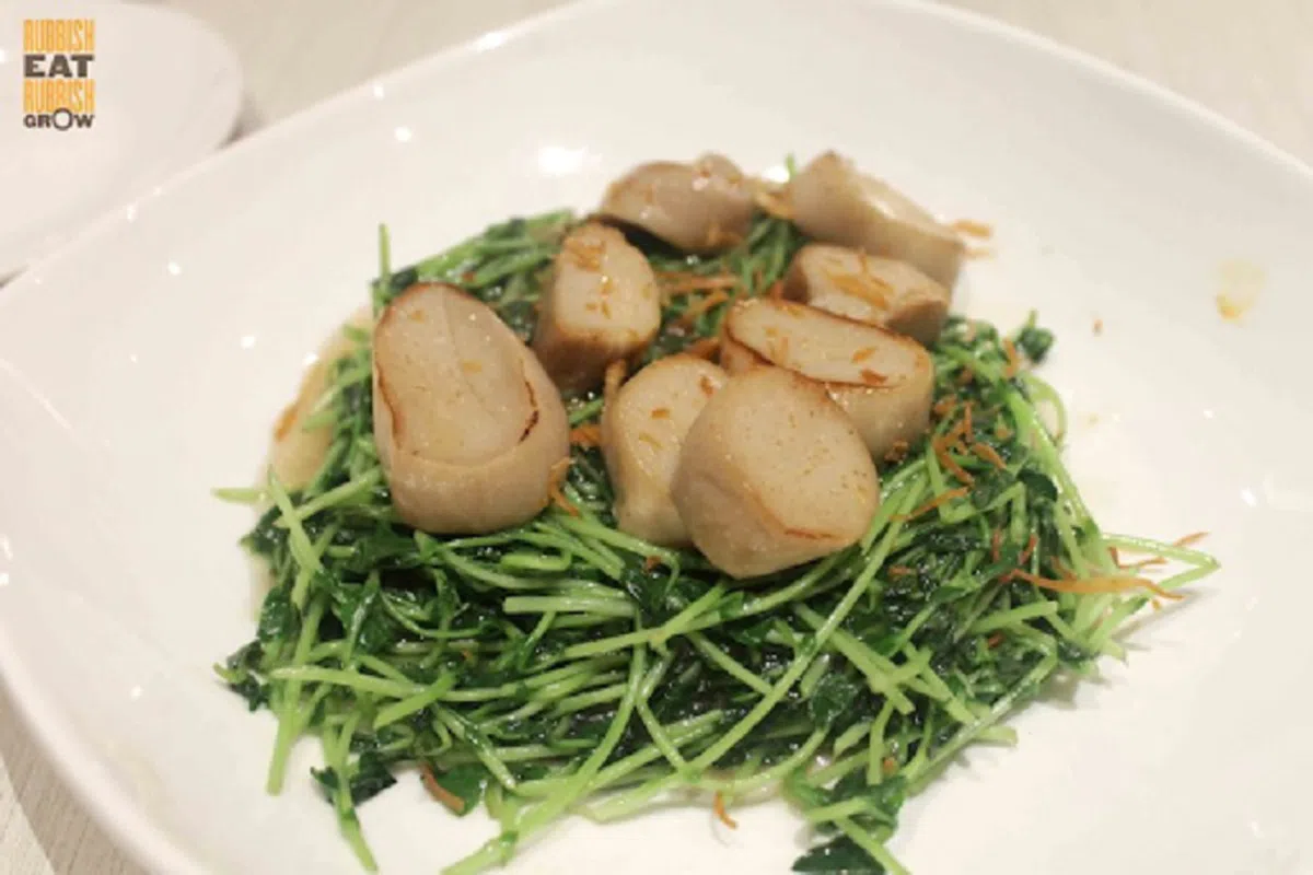  招牌菜：鲜贝豆苗（24.90元） 