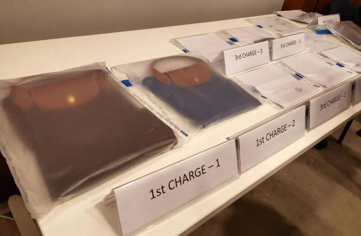  案件当时的证据显示，廖家能指认控状中的所有物品是属于他们的，并能说出一些细节。相比之下，根据总检察署的观察，莉雅妮的解释令人觉得可疑。（联合早报） 