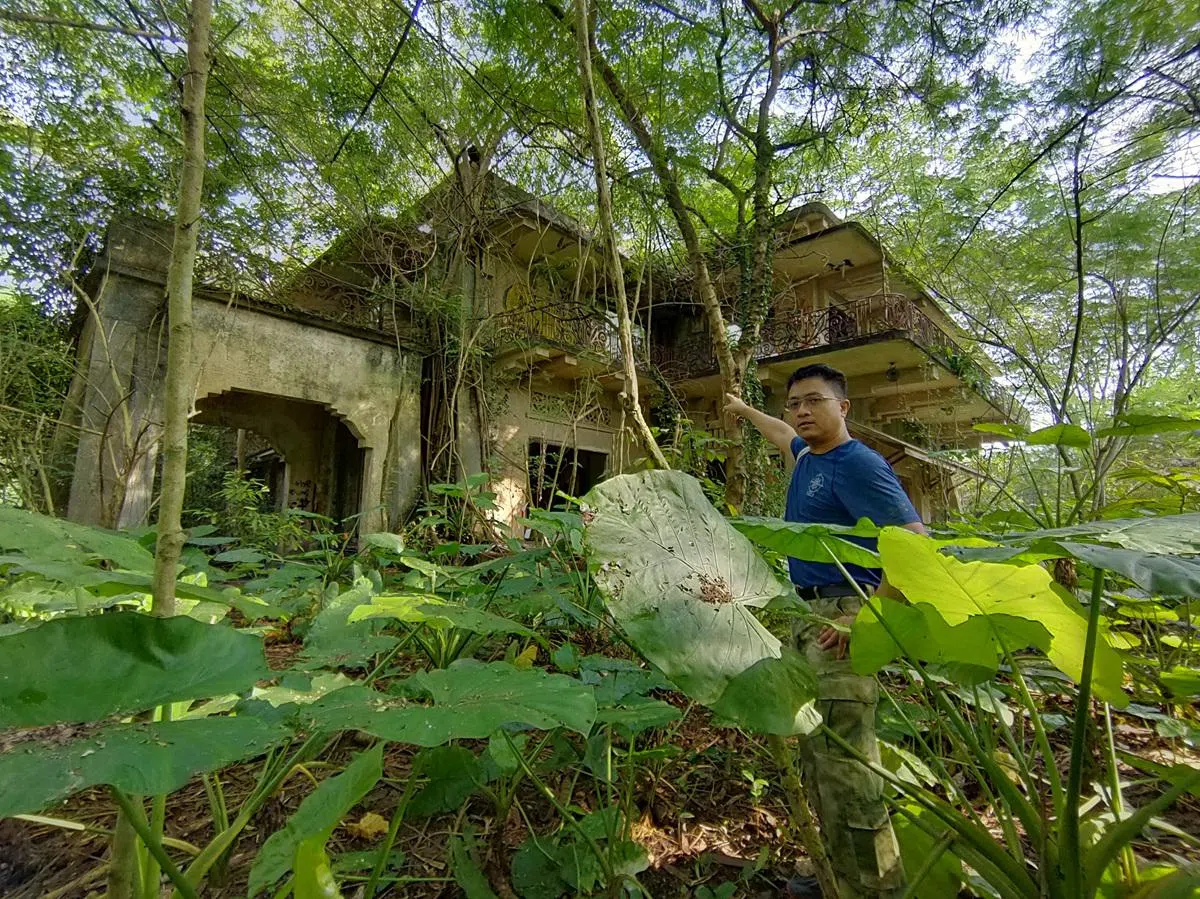 “藏匿”在植物园旁一片树林中的伍德努克王宫已是一片废墟。（每日新闻）