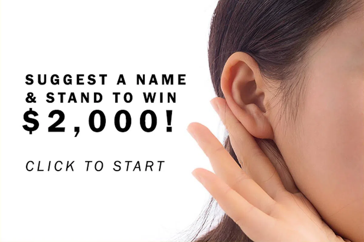  （取自国大官网） 