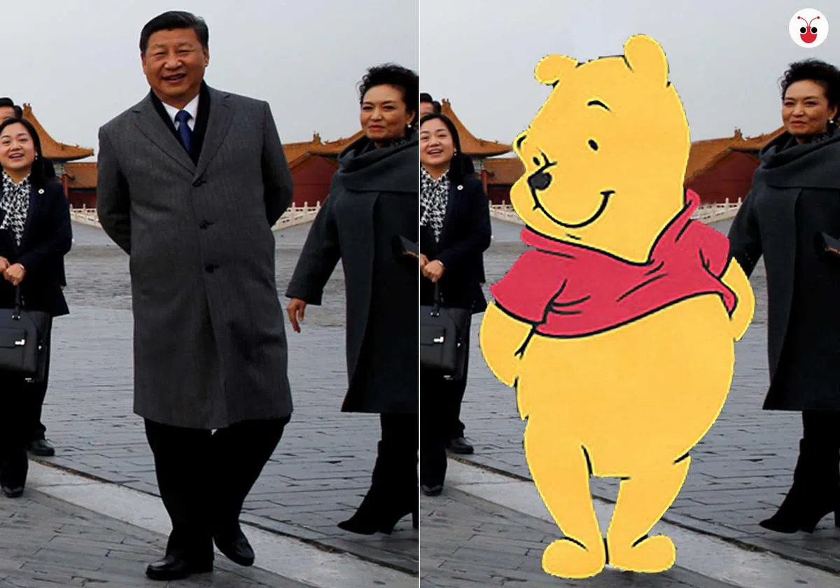  （谢静怡制图） 