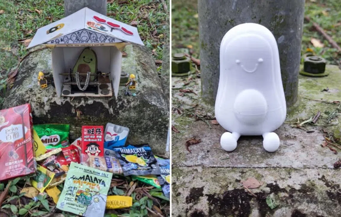 牛油果也有出头天。（X/Singaporose）