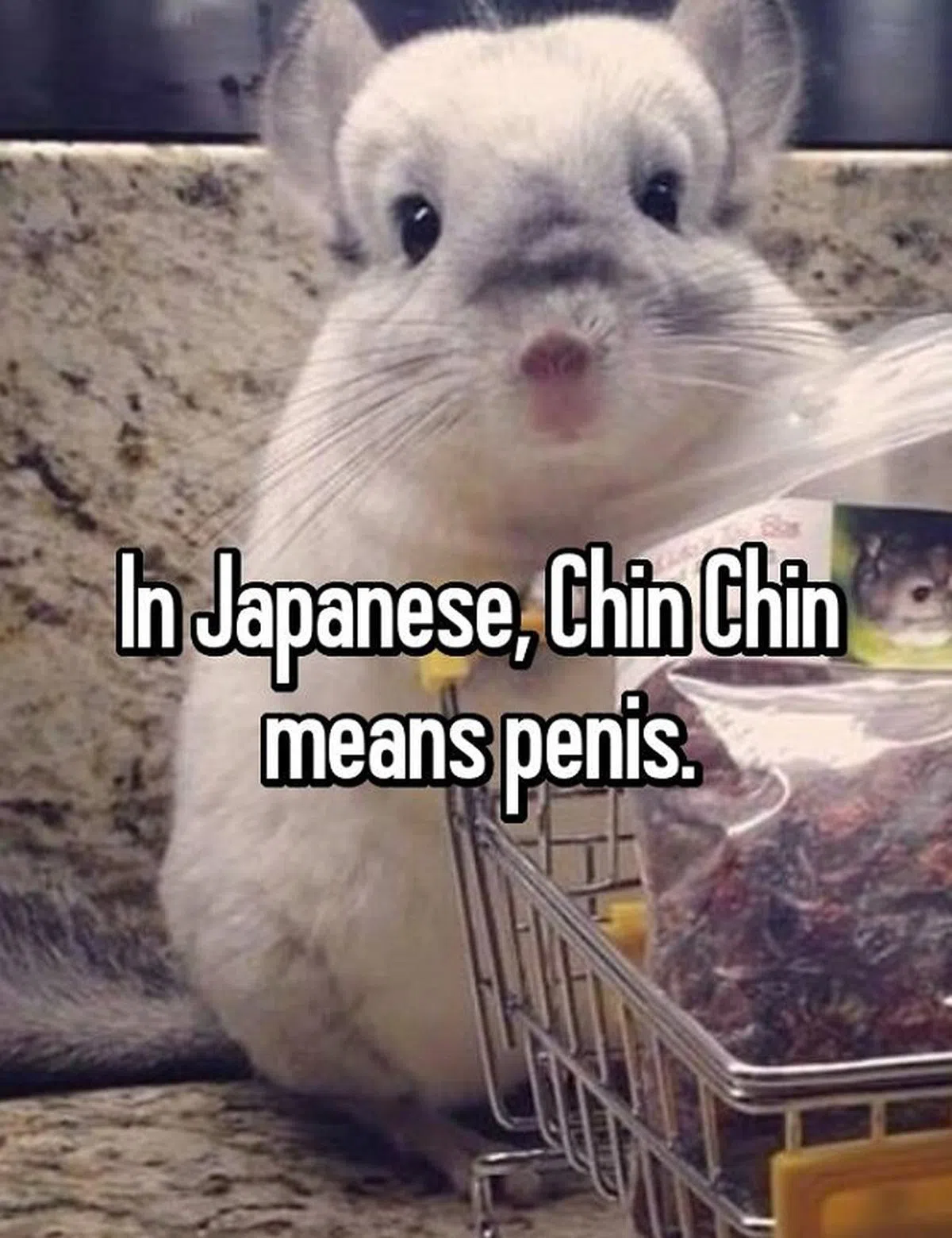  “津津”（ Chin Chin）两个字的发音就是日语里头的男性器官。（互联网） 