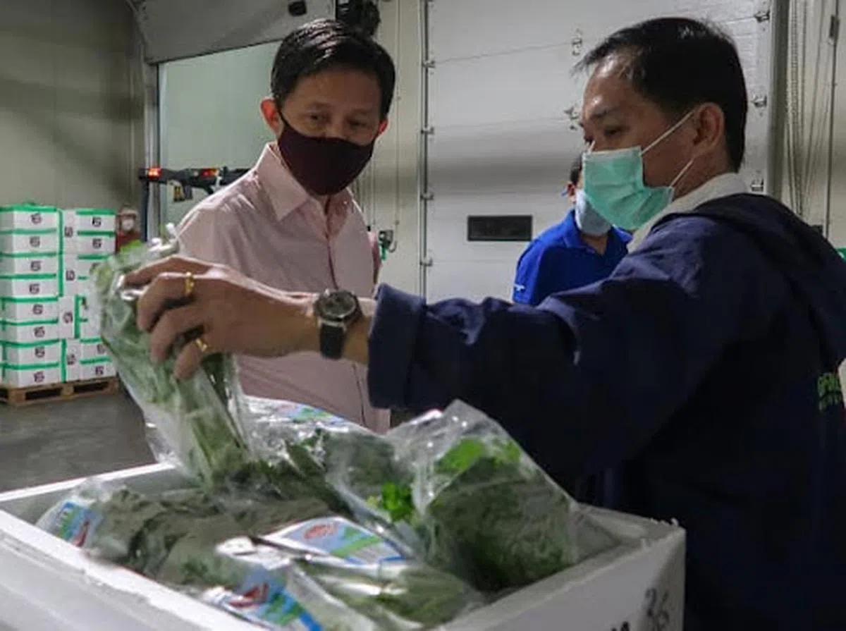  陈振声（左）与Eastern Green Marketing的总监Hanns Wong在开箱检查蔬菜的状况。（陈振声面簿） 