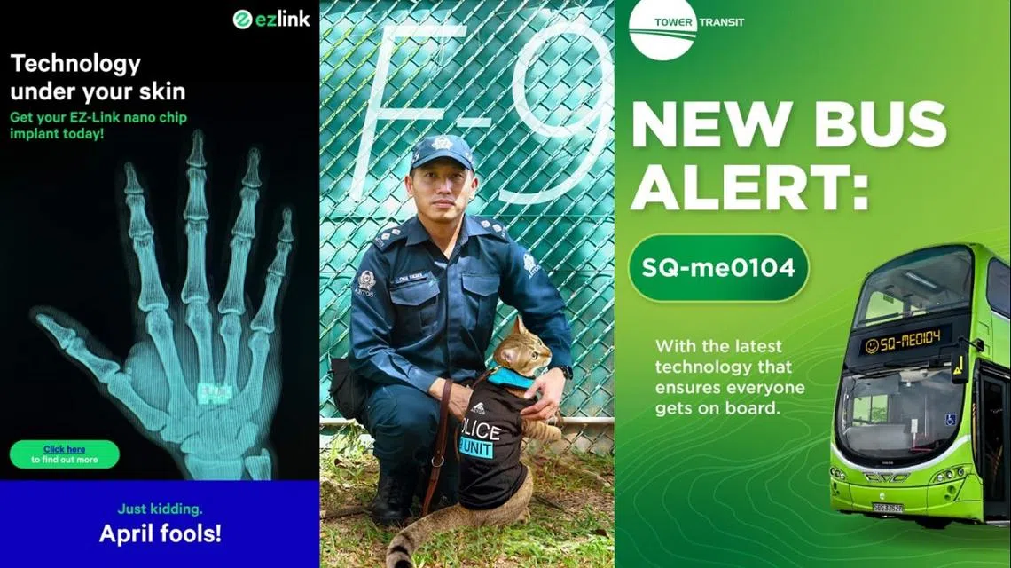 本地多家机构在网上“欢庆”愚人节，一张张“恶搞”图可说是费尽心思。（取自易通、翔鹰、Tower Transit面簿）