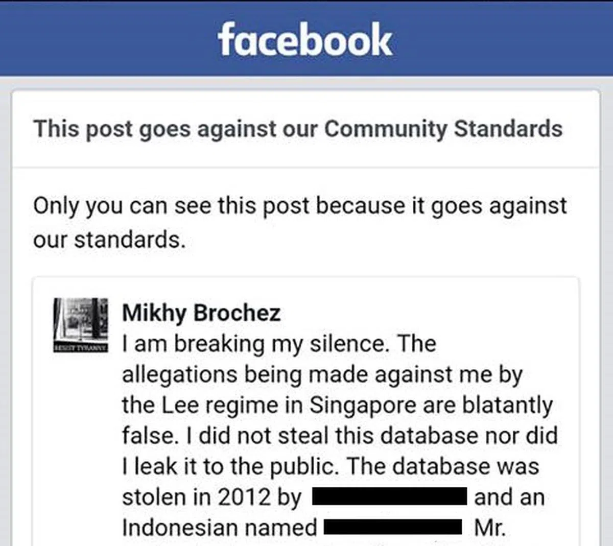  布罗谢兹面簿截图 