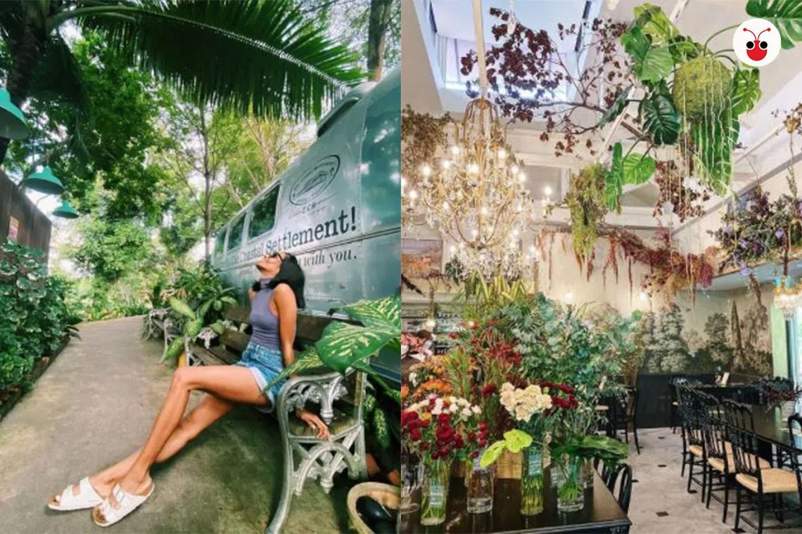 这几个风景别致的公园特色餐馆，你可曾去过？（红蚂蚁制图）