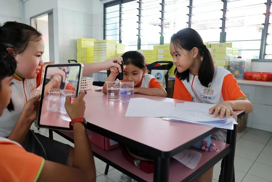 康伟小学（Palm View Primary School）为学生提供E2K科学校本增益课程，让学生通过实验探索科学概念。