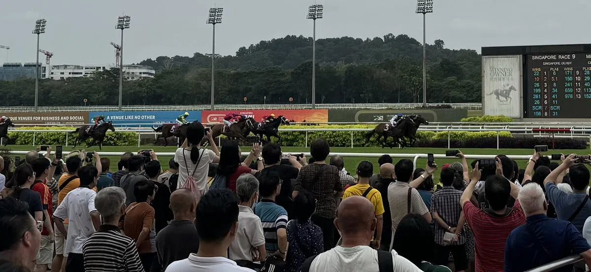 新加坡赛马公会在2024年7月21日举行最后一场新加坡打比赛（Singapore Derby），吸引了约5800人到场。克兰芝赛马场即将在2024年10月熄灯，届时新加坡已经举行了超过180年的赛马活动将正式走入历史。（联合早报）