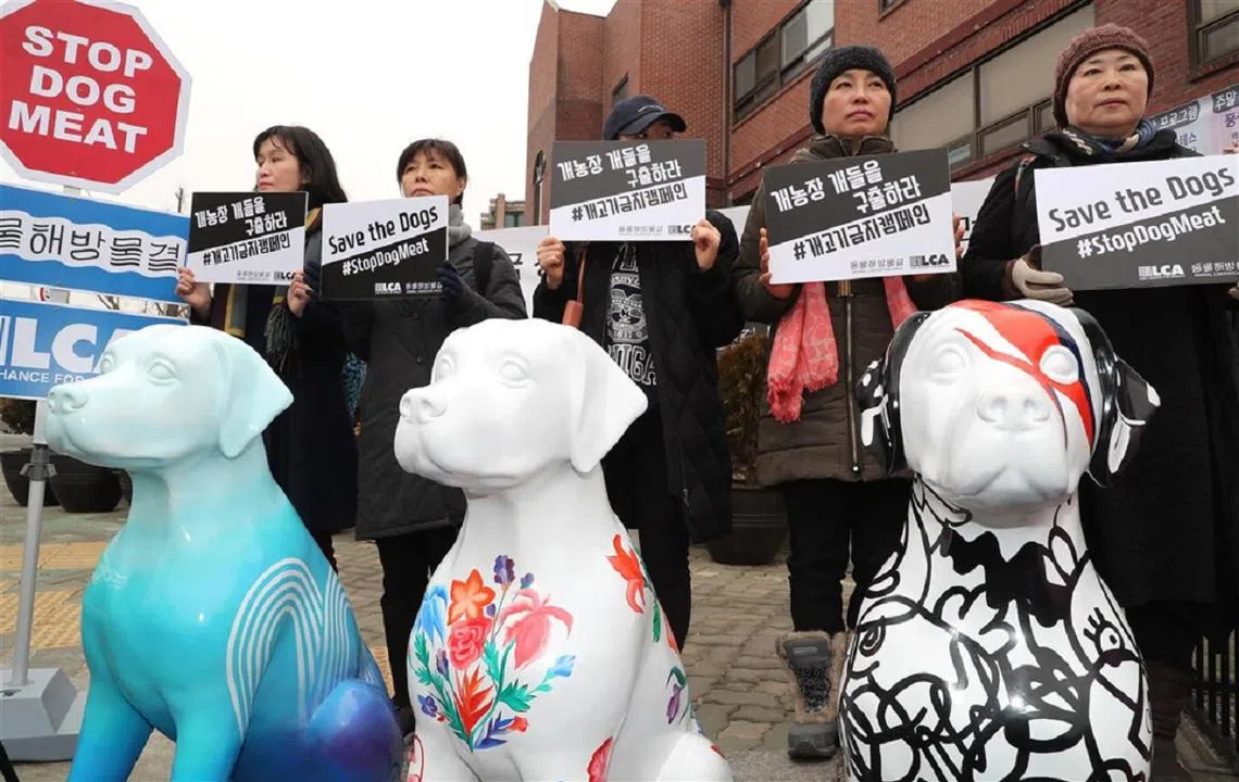 韩国爱狗人士的呼吁终于被听到了。（韩联社）