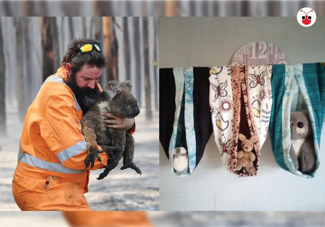 （陈姿潓制图）