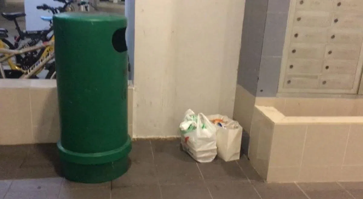  （西海岸区） 