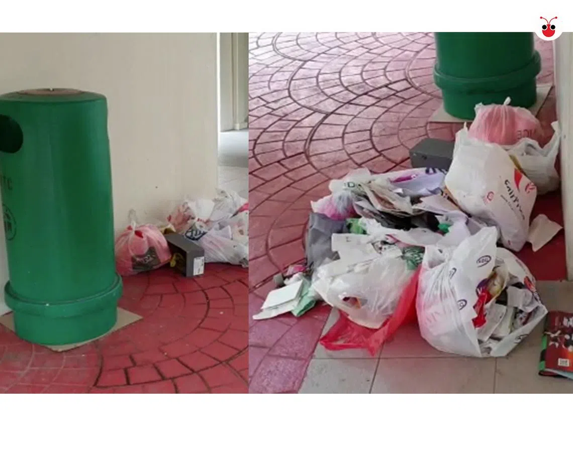 直落布兰雅区的垃圾桶和其他居民区一样，有着被成袋垃圾围攻的现象。