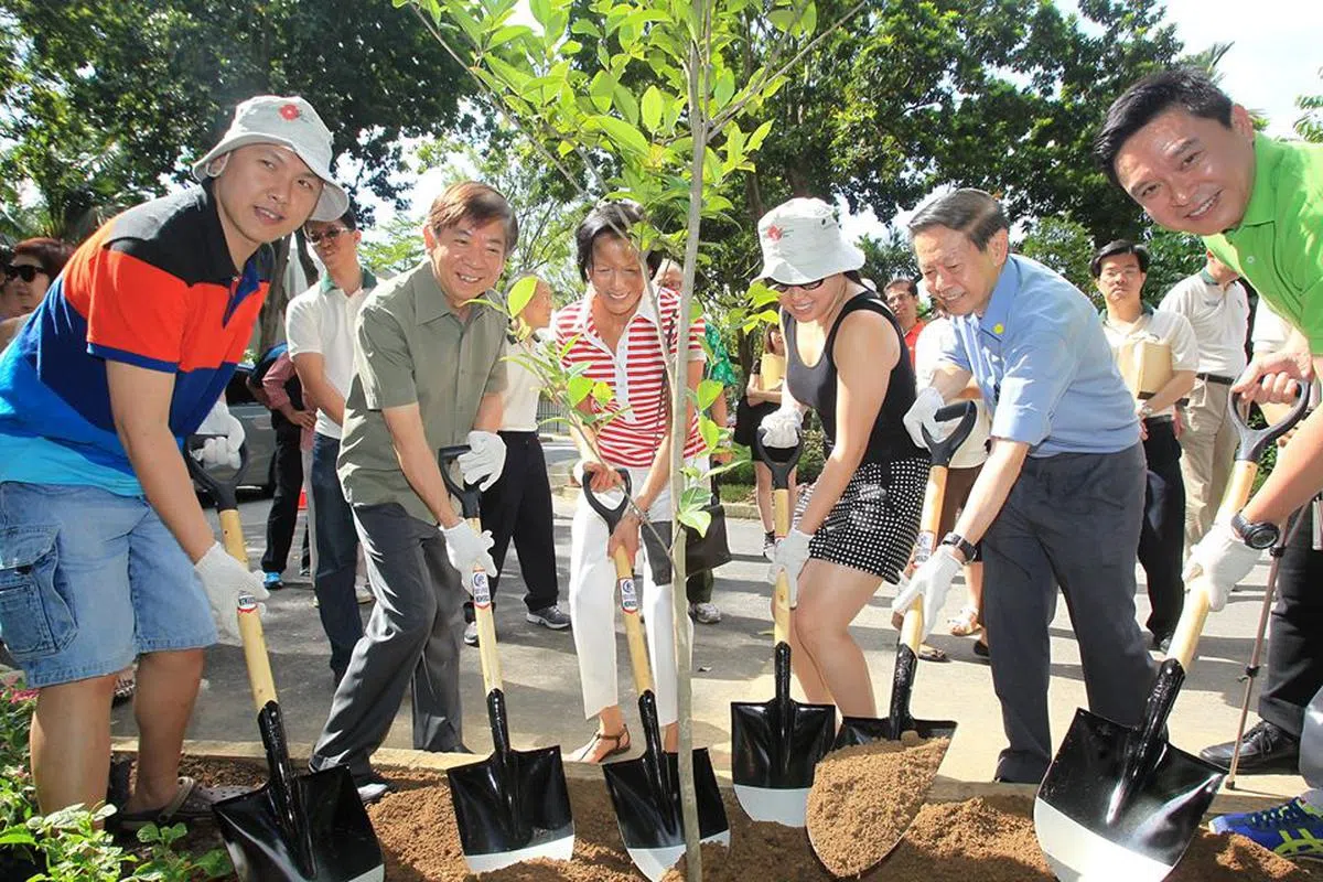  前人栽树，后人乘凉。2013年我与居民们一起植树，推介谦福自然走道（Kheam Hock Nature Way）。（许文远面簿） 