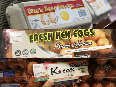 （红蚂蚁制图）