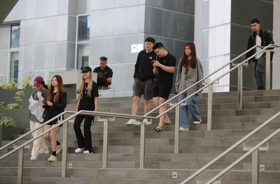 若本届总统选举进入投票阶段，21岁至33岁的国人将都将成为总统选举的“首投族”。（海峡时报）