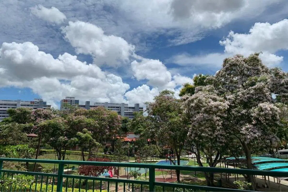  （王瑞杰面簿） 
