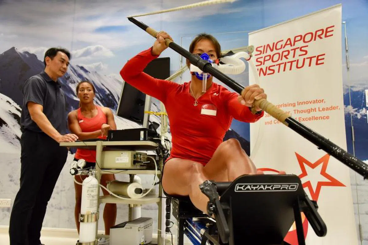 全国高水平体制（HPS）按国家运动员的潜力和表现提供长期的支援和培育。（联合早报）