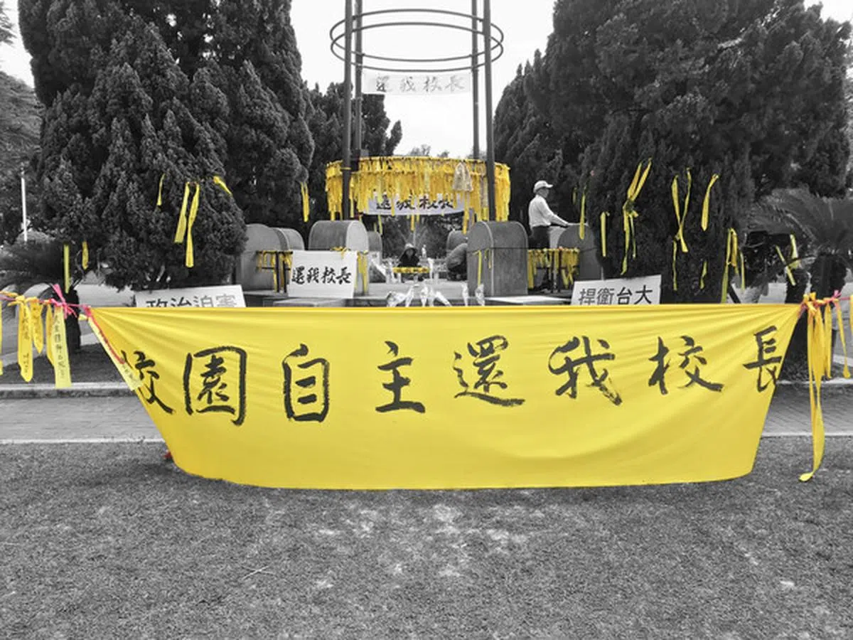  台大师生在校园里绑上黄丝带，抗议教育部“拔管”。（互联网） 