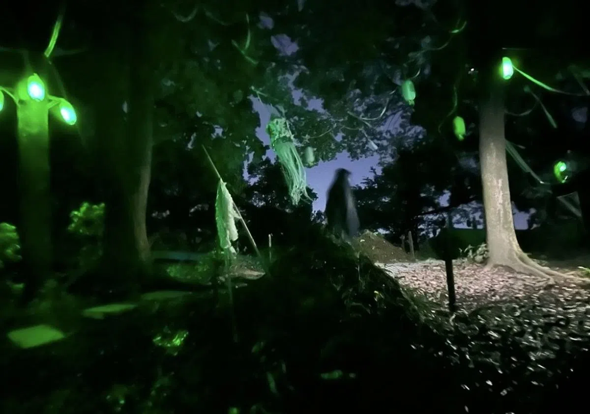 庭院“森森”。（小红书）