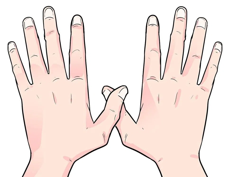 示意图：一双手能摆出蝴蝶般的形状，也能成为夺命的魔爪。