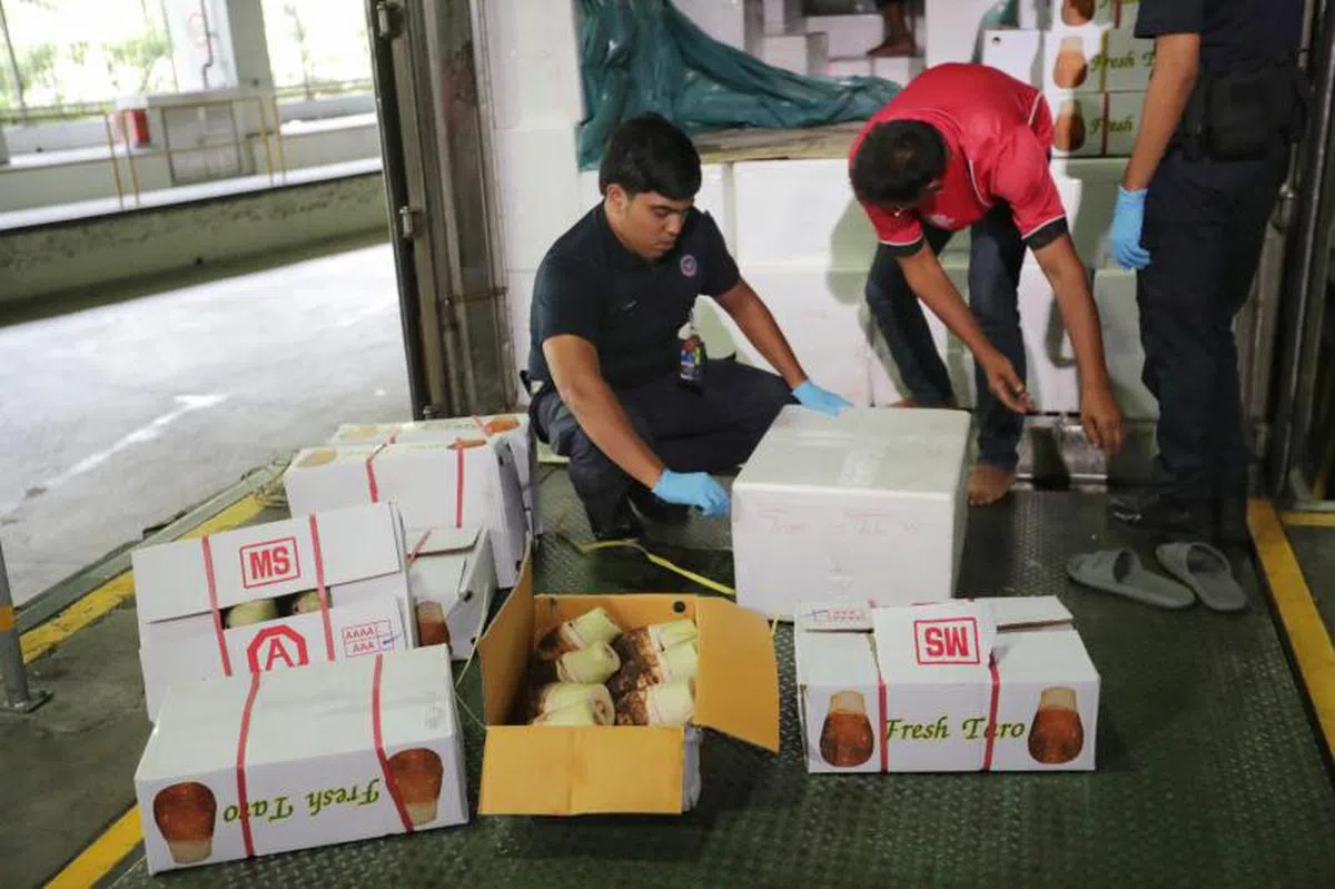  新马货流维持正常，图为我国关卡人员检查通关的罗里。（海峡时报） 