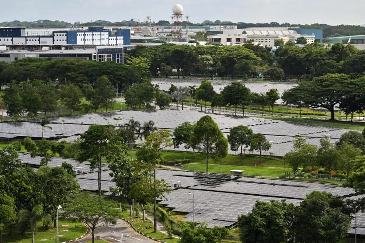 （海峡时报）