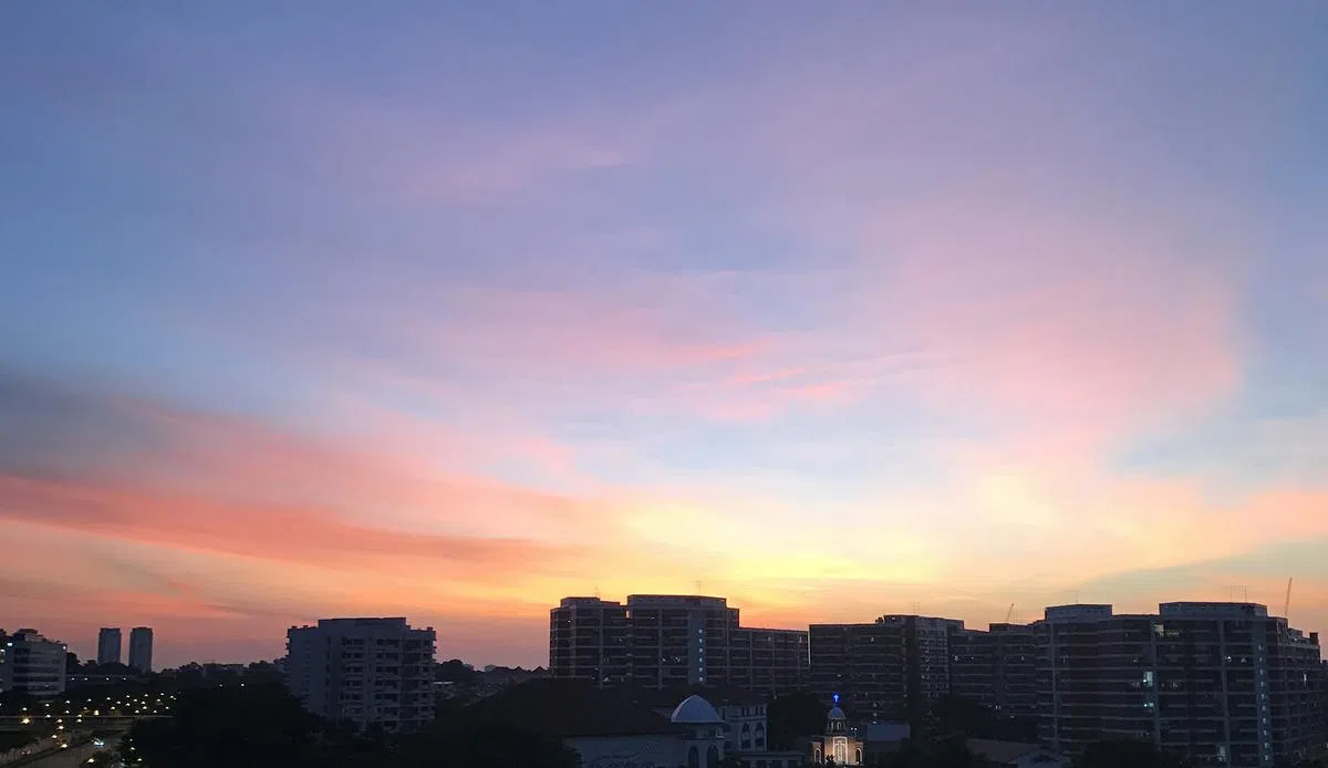  （2017年1月8日谢静怡摄） 