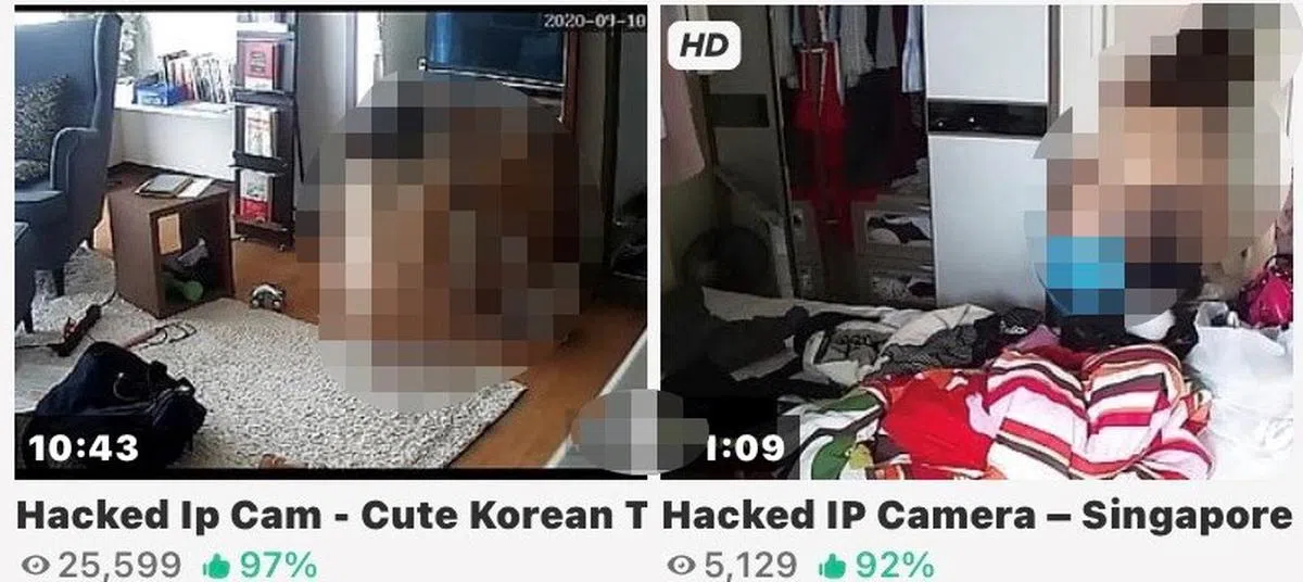  （互联网） 
