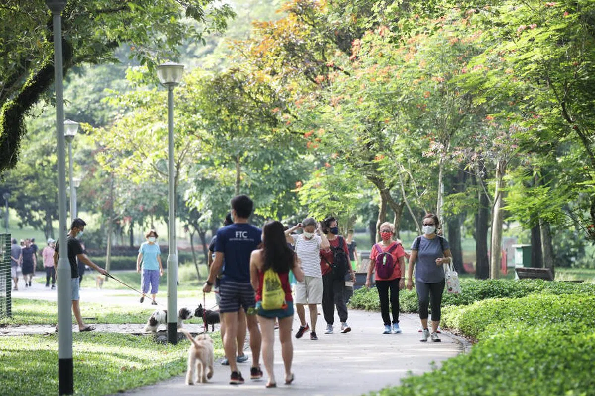  多运动对身体一定好。图为碧山公园。（联合晚报） 
