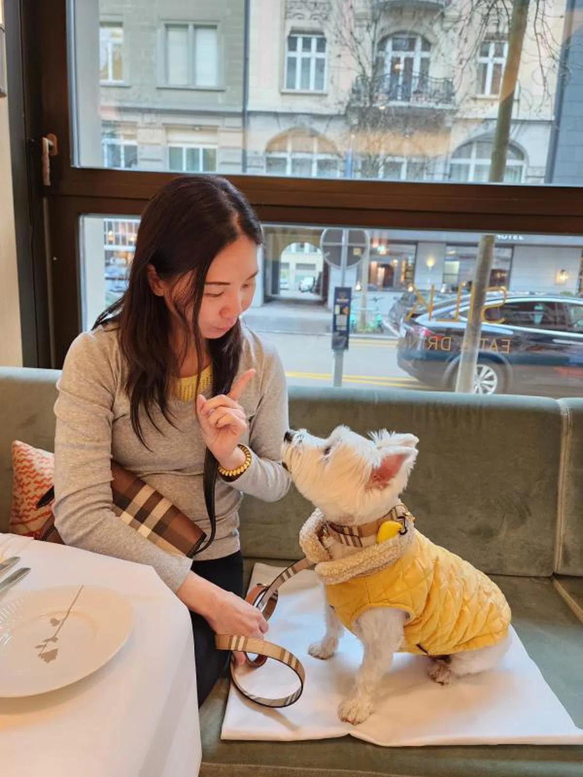 在餐馆里，狗狗可以随着主人坐在沙发上用餐，狗主仅需要携带一张垫子铺在座位上。（张爱丽提供）