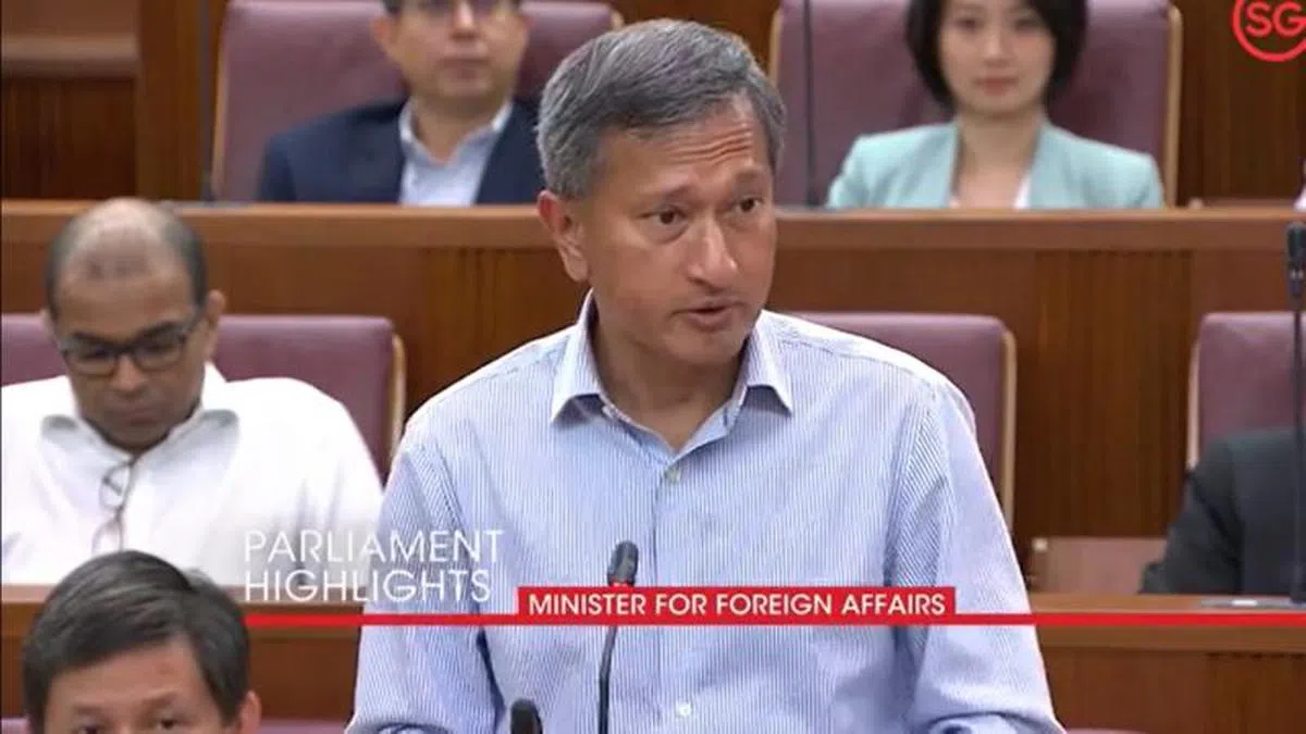  外交部长维文。（国会视频截图） 